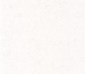 Обои Caselio Beton BET101480000